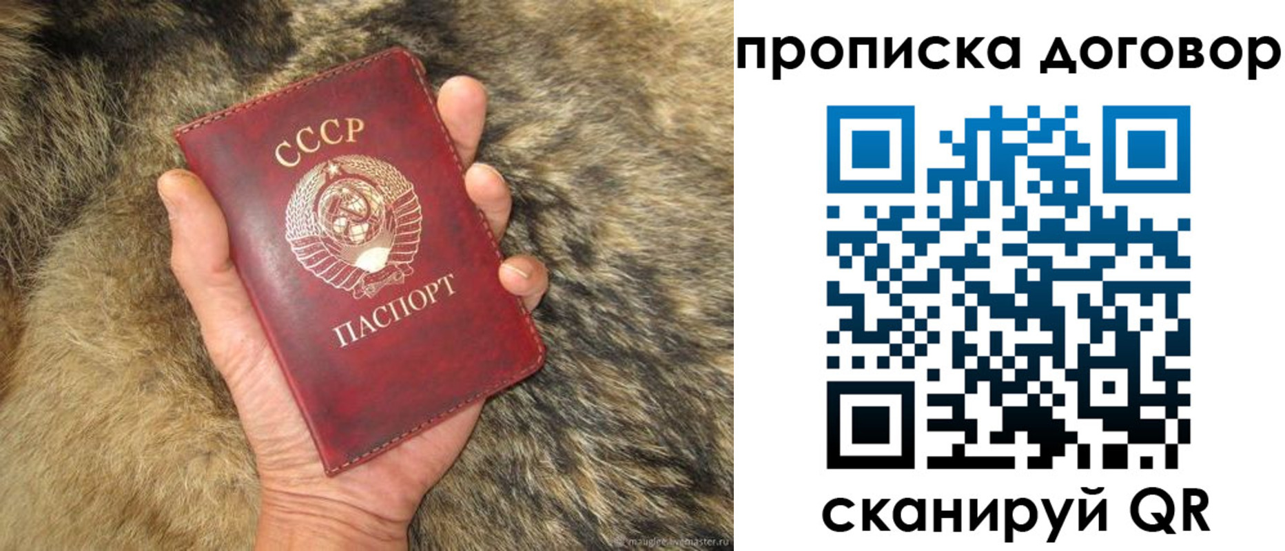 прописка регистрация в Алтайском крае
